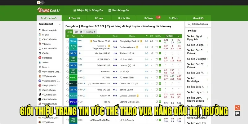Giới thiệu trang tin tức thể thao vua hàng đầu thị trường