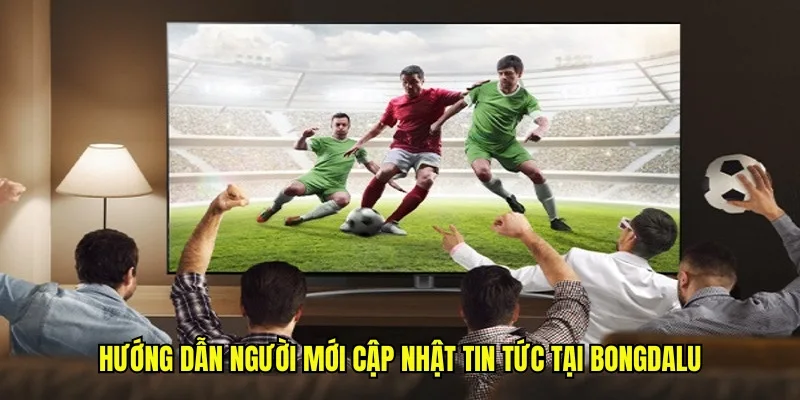 Hướng dẫn người mới cập nhật tin tức tại Bongdalu
